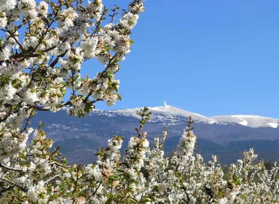فيلا Les Tarraiettes Au Pied Du Luberon لورمارين المظهر الخارجي الصورة